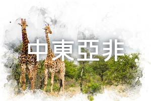 這是一張圖片