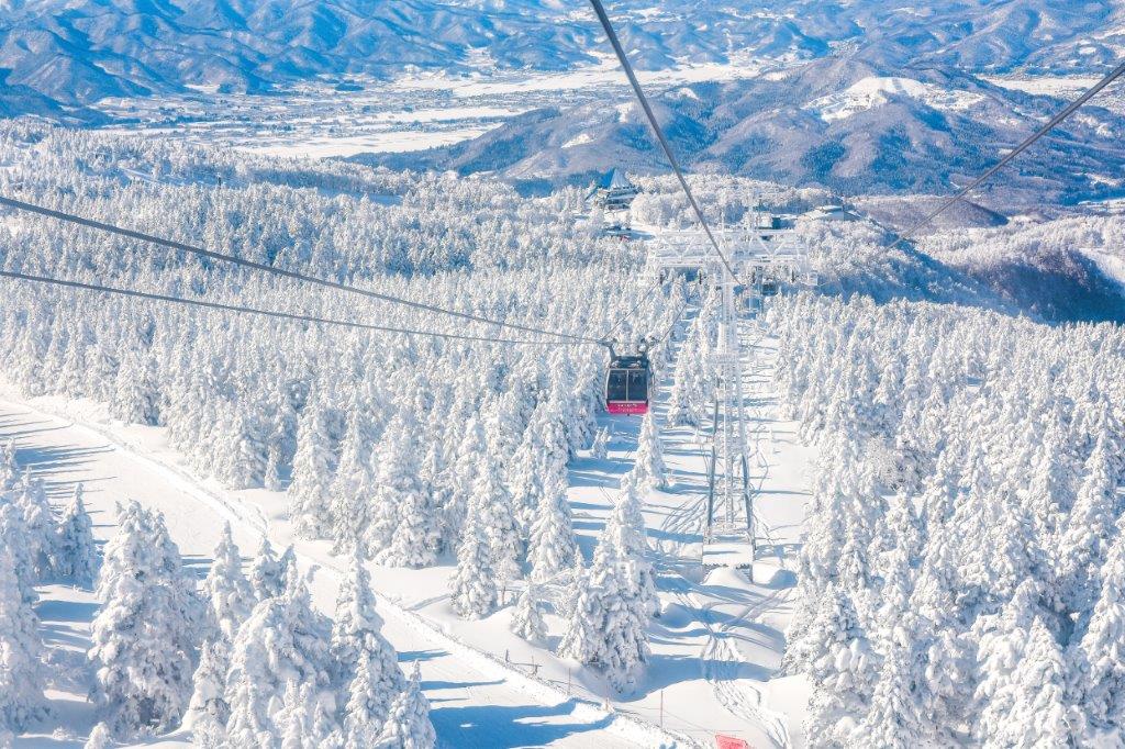 季節限定、藏王樹冰冬日奇幻美景
